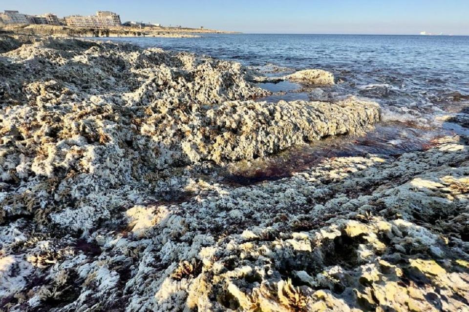 Building Resilience: How Hampton Roads is Preparing for Sea Level Rise